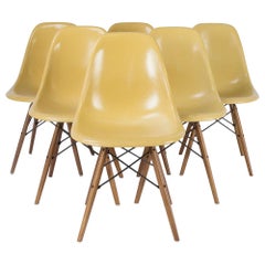 Ochre Set '6' Herman Miller Eames DSW Side Shell Chairs