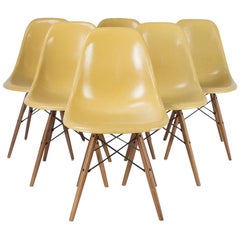 Ochre Set '6' Herman Miller Vintage Eames DSW Side Shell Chairs