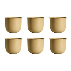 Ochre, Teacups, Set of 6, Slip Cast Ceramic, N/O Service Collection