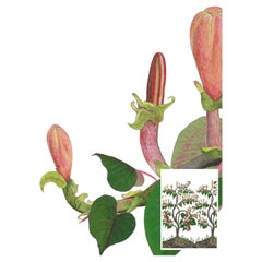 Ochroma Wild Things Bright White Wallpaper
