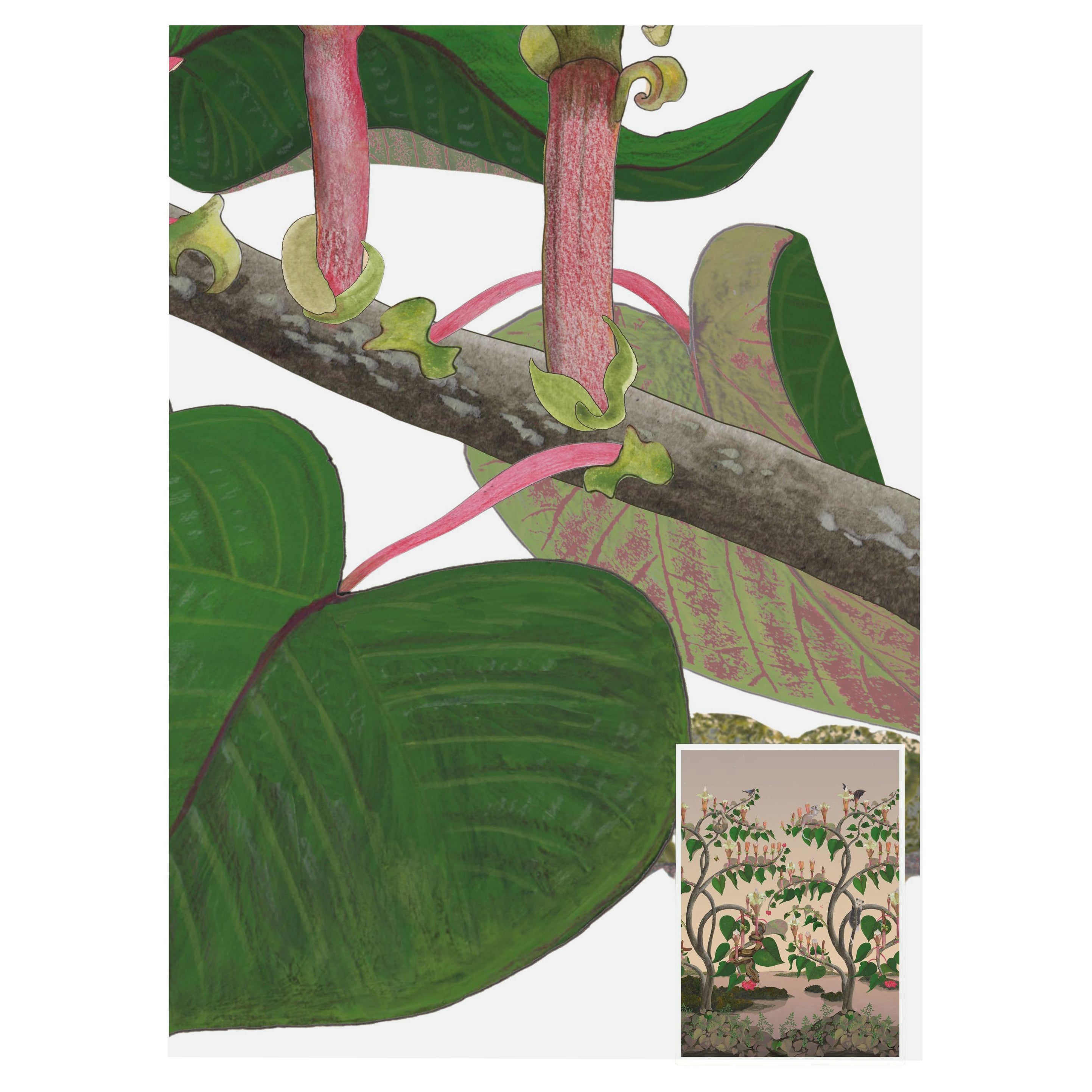Ochroma Wild Things Dawn Pink Wallpaper For Sale