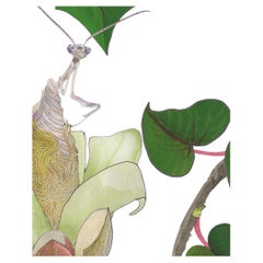 Ochroma Wild Things Midnight Black Wallpaper