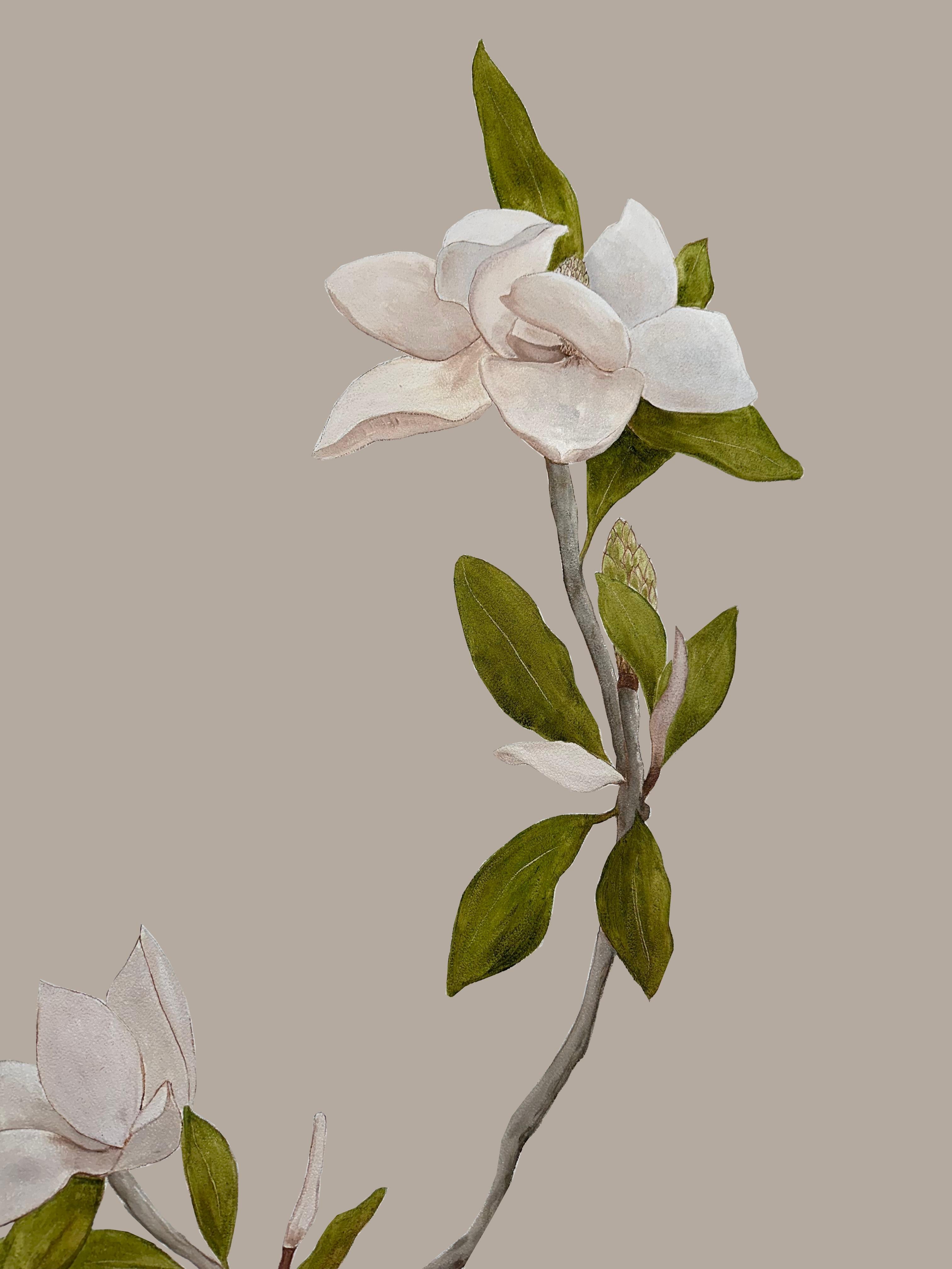 Papier peint à la main Magnolia Botanical from Ocre Designs de Tarn McLean en vente 2