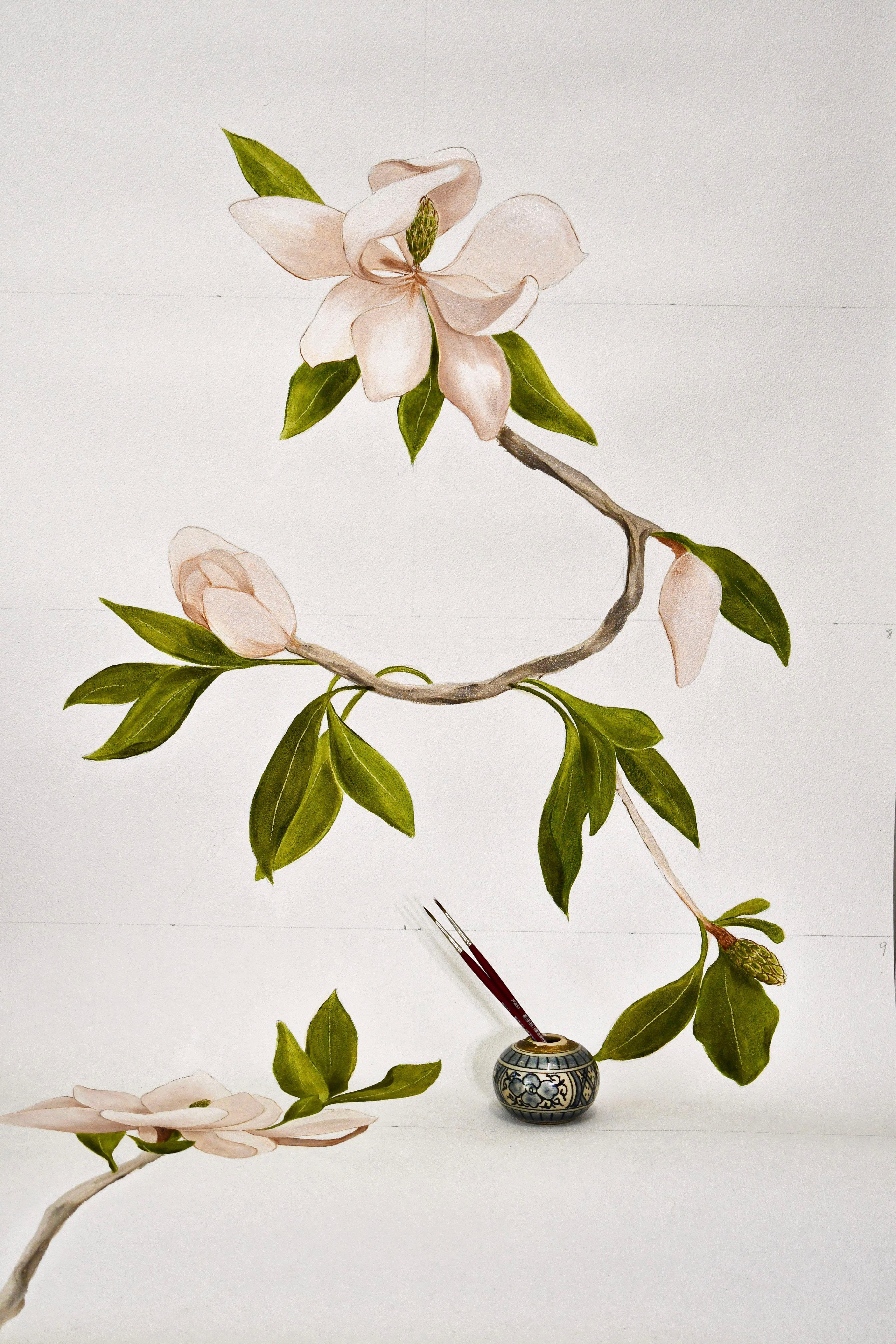 Hand Painted Wallpaper Magnolia Botanical from Ocre Designs by Tarn McLean For Sale 5