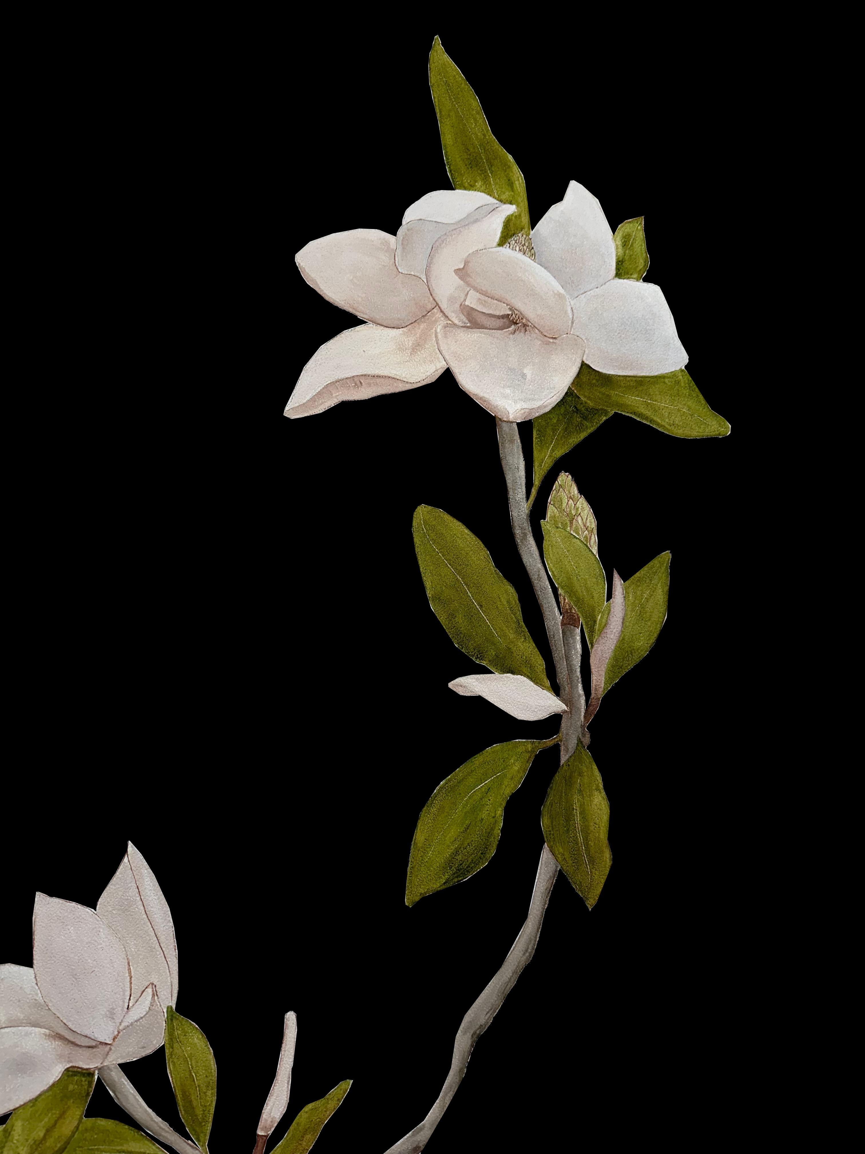 Papier peint à la main Magnolia Botanical from Ocre Designs de Tarn McLean en vente 3