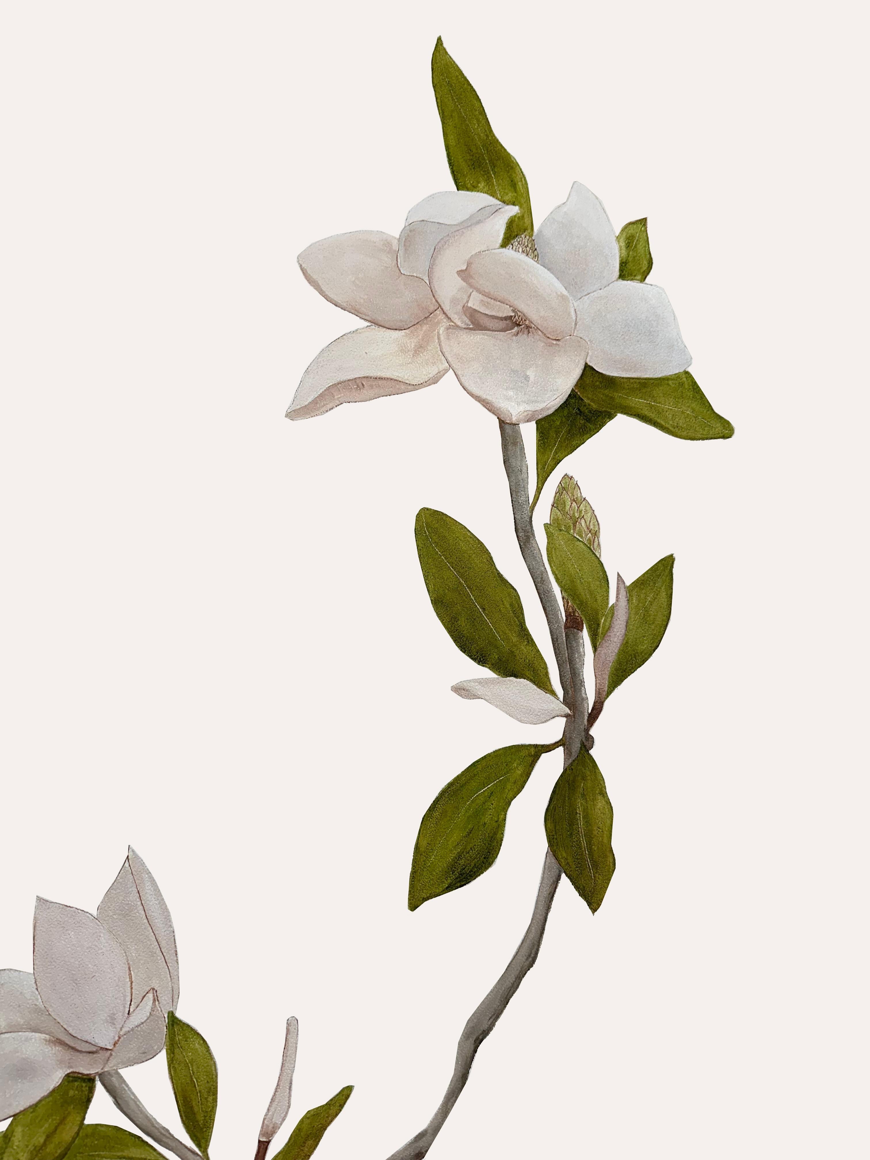 Peinture Papier peint à la main Magnolia Botanical from Ocre Designs de Tarn McLean en vente