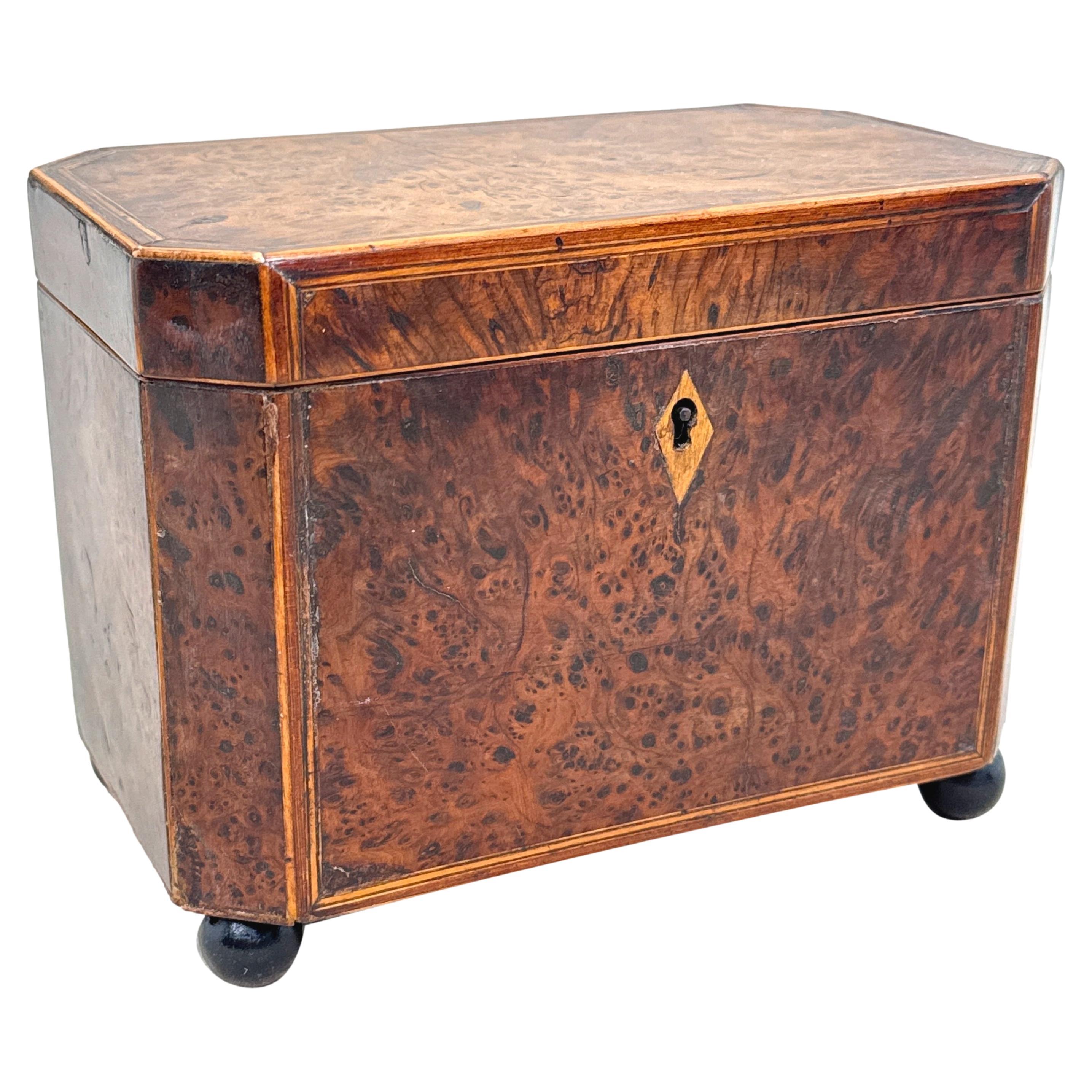 Octagonal Yew Wood Georgian Tea Caddy