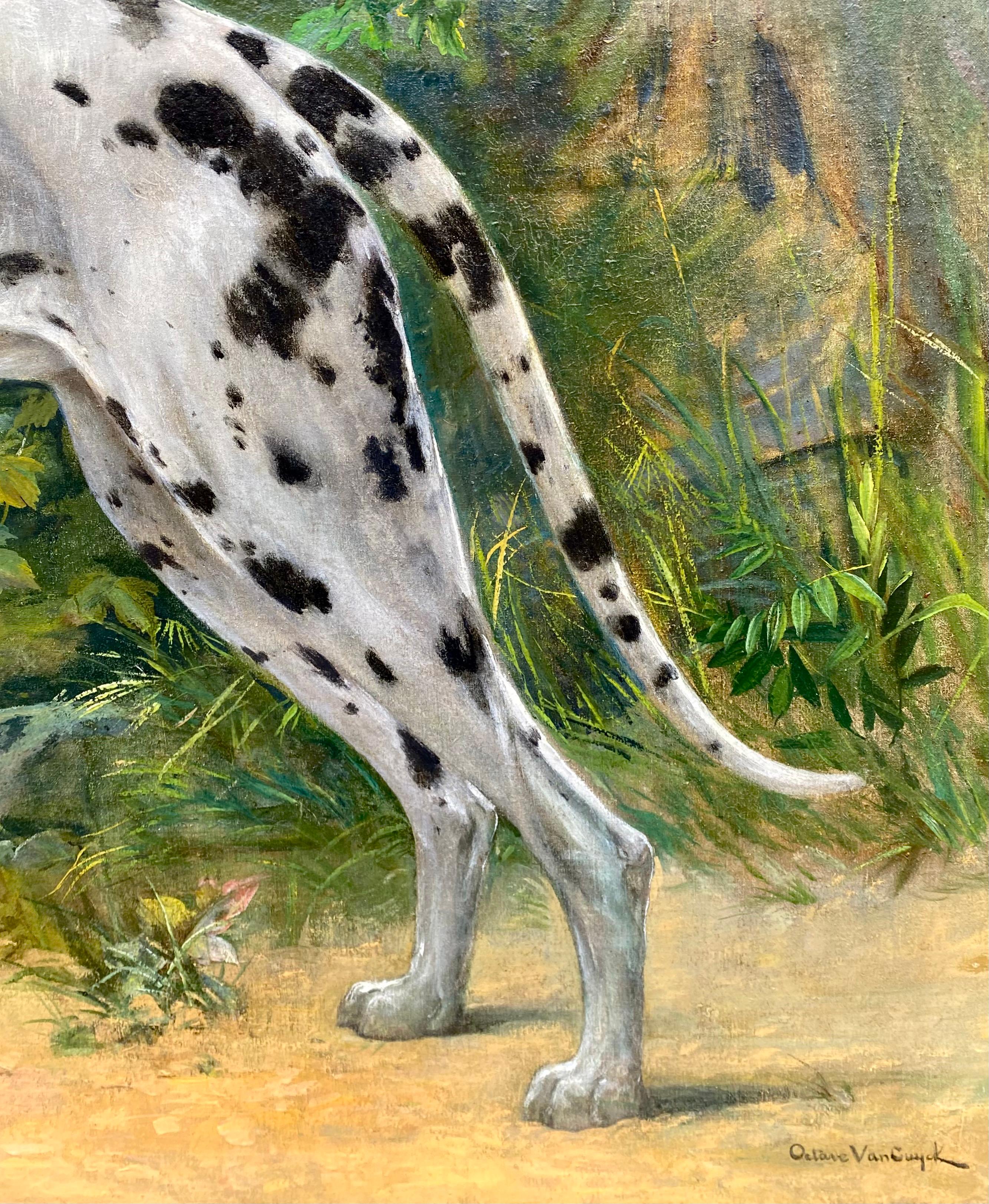 Portrait d'un Great Dane - Arlequin' par Octave Van Cuyck ( 1870 - 1956 ) en vente 9