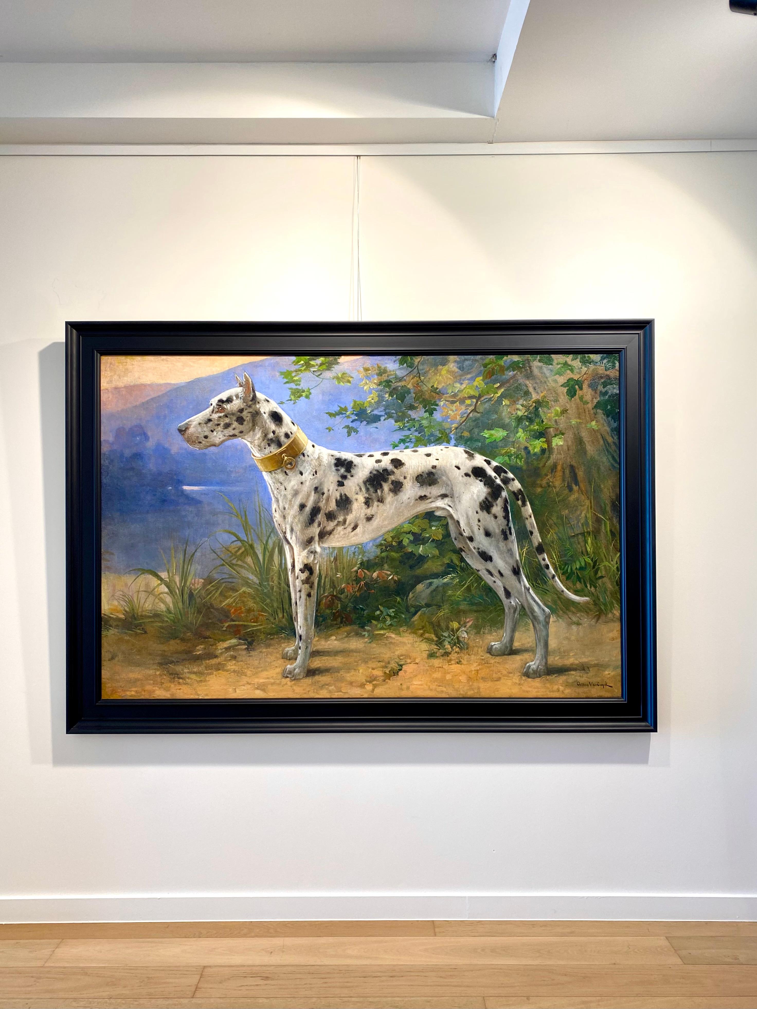Portrait d'un Great Dane - Arlequin' par Octave Van Cuyck ( 1870 - 1956 ) en vente 15