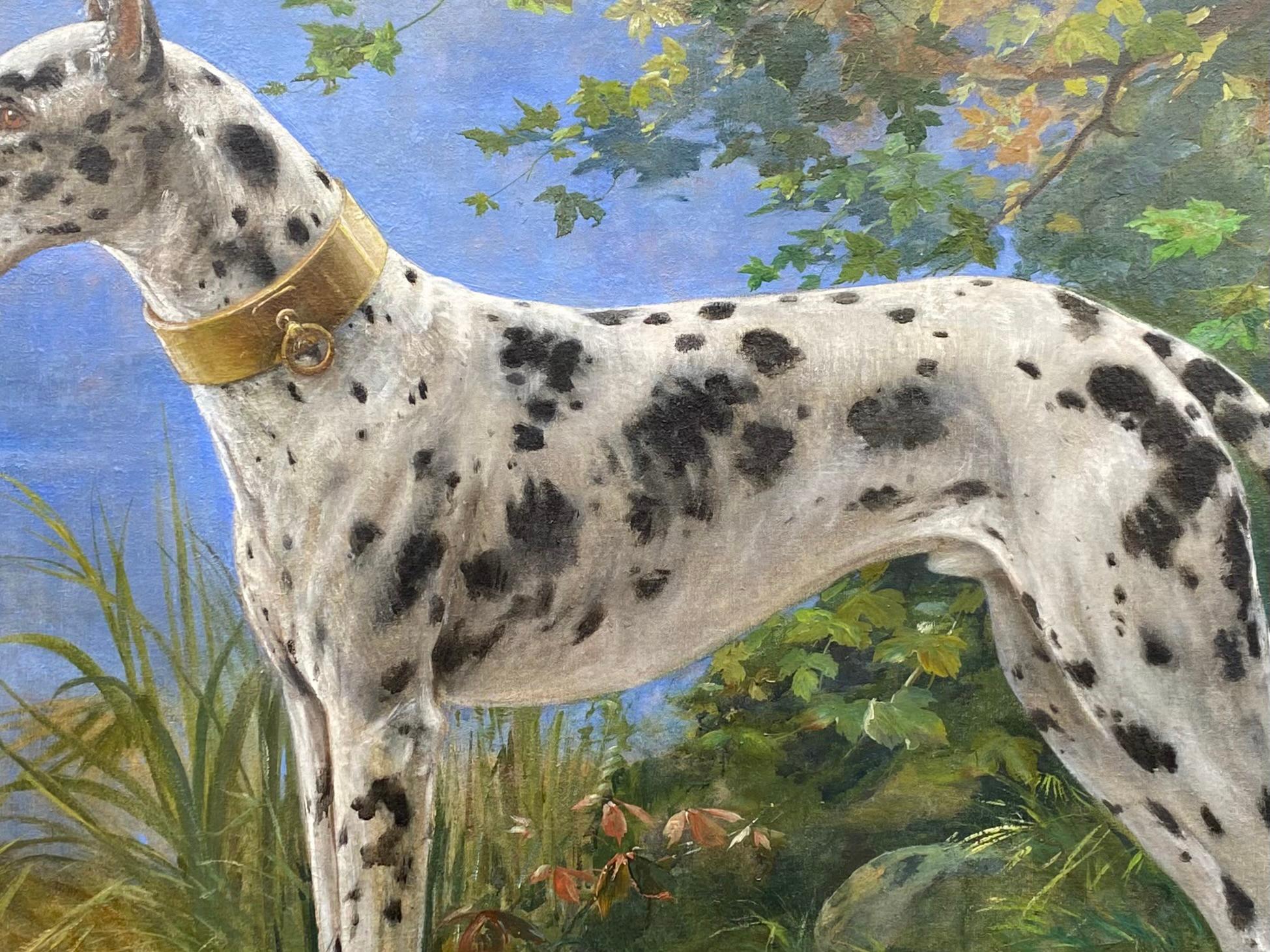 Portrait d'un Great Dane - Arlequin' par Octave Van Cuyck ( 1870 - 1956 ) en vente 1