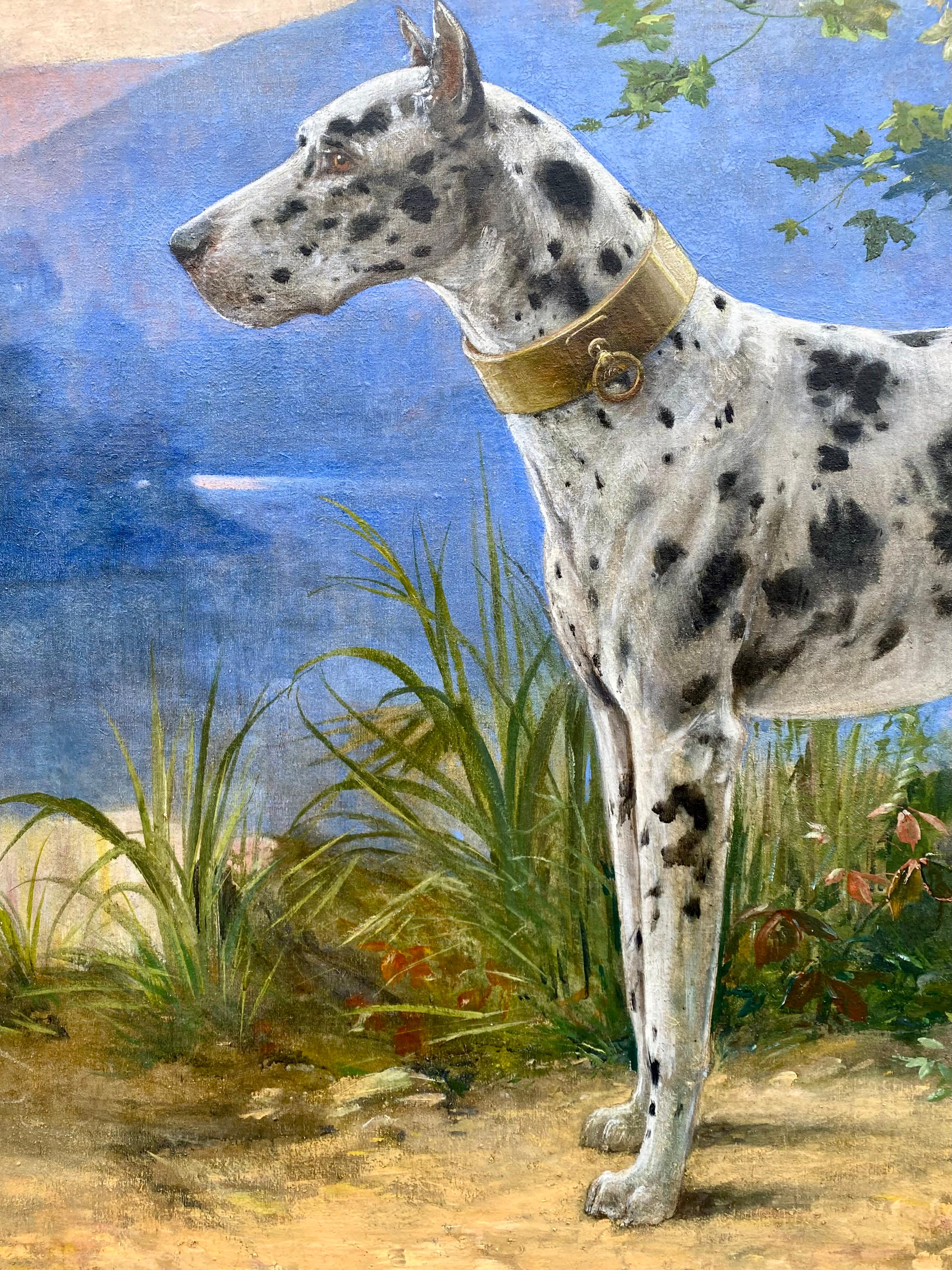 Portrait d'un Great Dane - Arlequin' par Octave Van Cuyck ( 1870 - 1956 ) en vente 2
