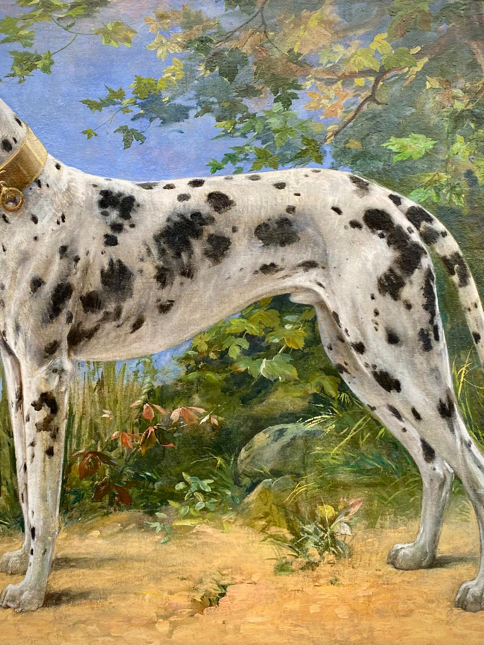 Portrait d'un Great Dane - Arlequin' par Octave Van Cuyck ( 1870 - 1956 ) en vente 3