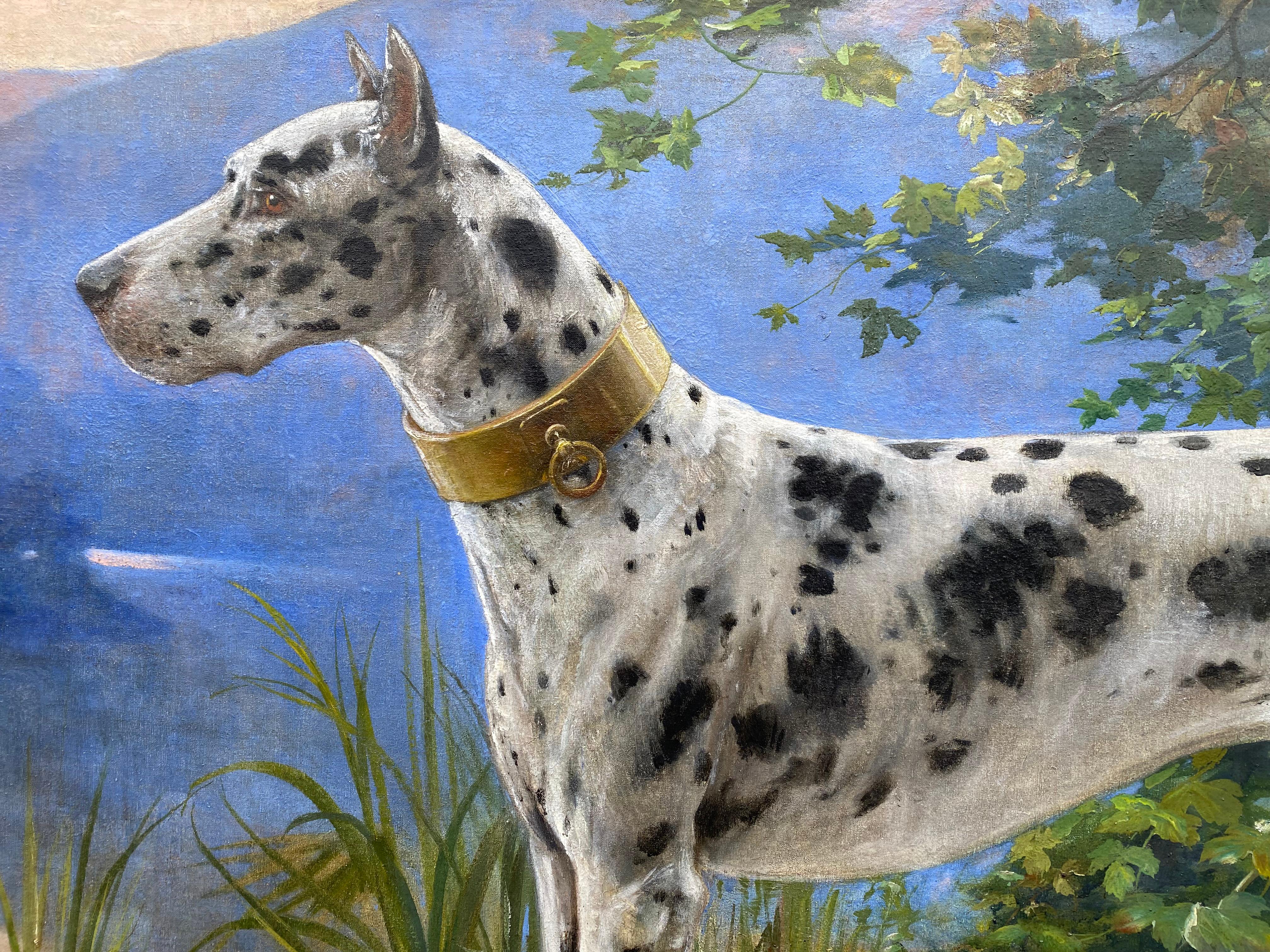 Portrait d'un Great Dane - Arlequin' par Octave Van Cuyck ( 1870 - 1956 ) en vente 4