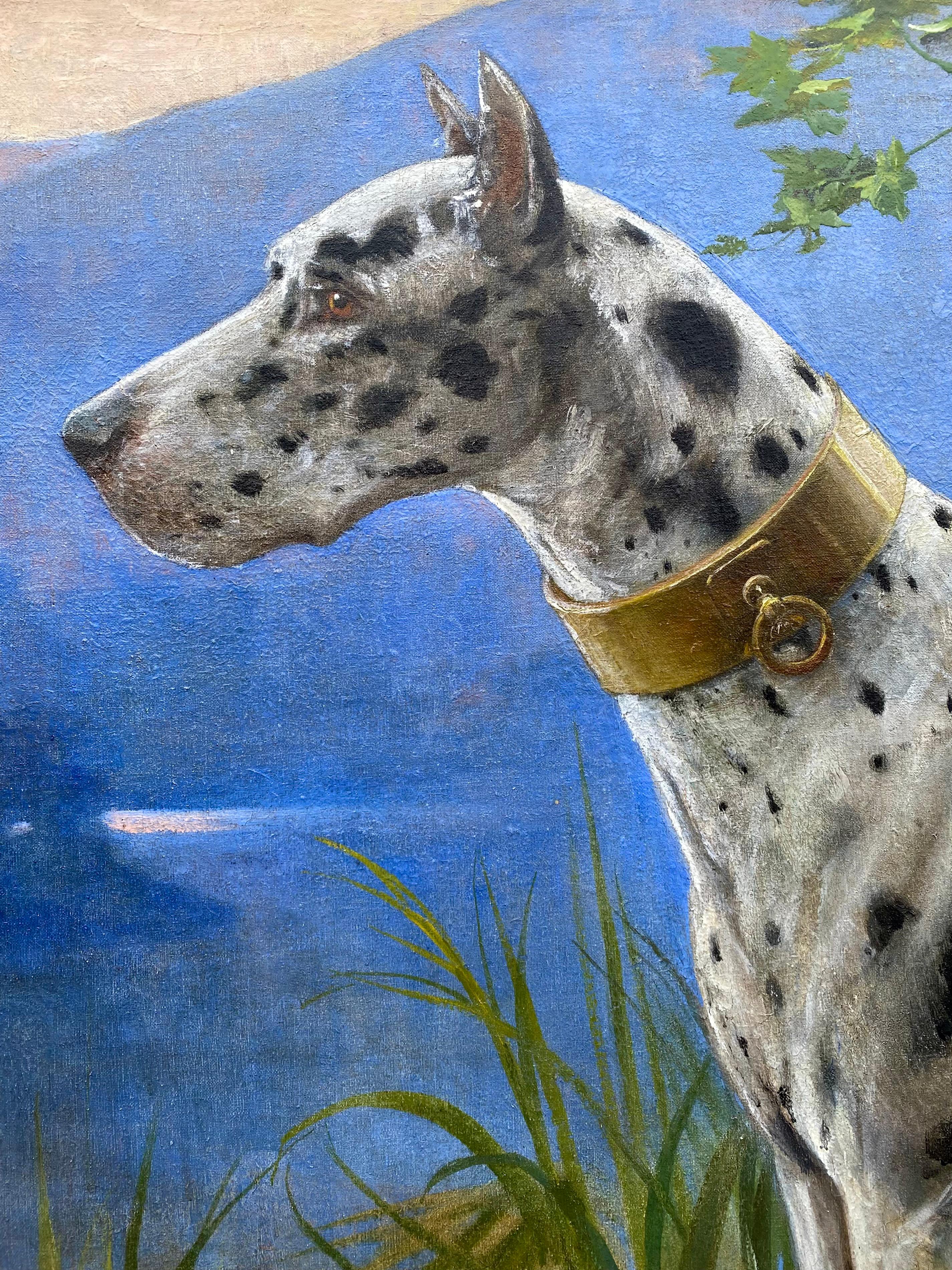Portrait d'un Great Dane - Arlequin' par Octave Van Cuyck ( 1870 - 1956 ) en vente 5