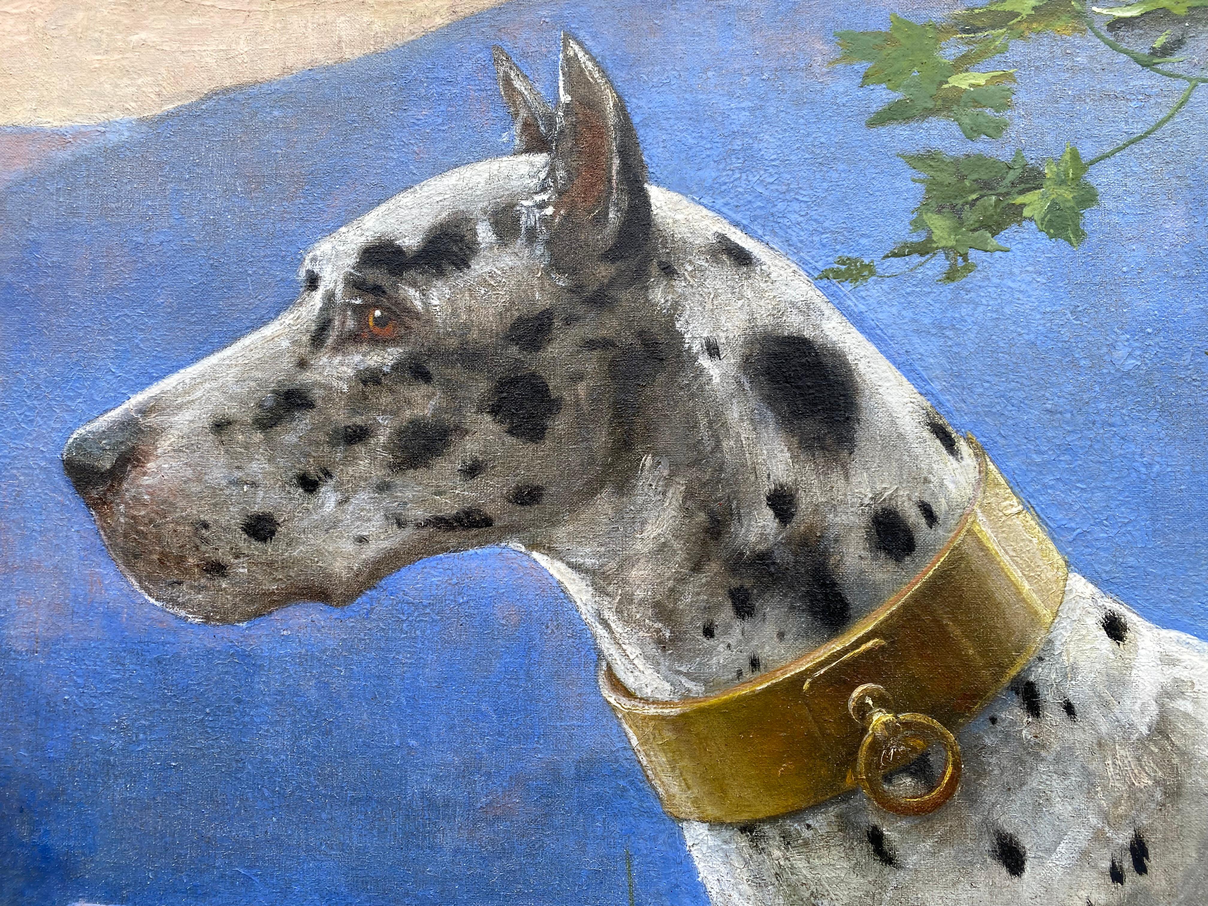 Portrait d'un Great Dane - Arlequin' par Octave Van Cuyck ( 1870 - 1956 ) en vente 6