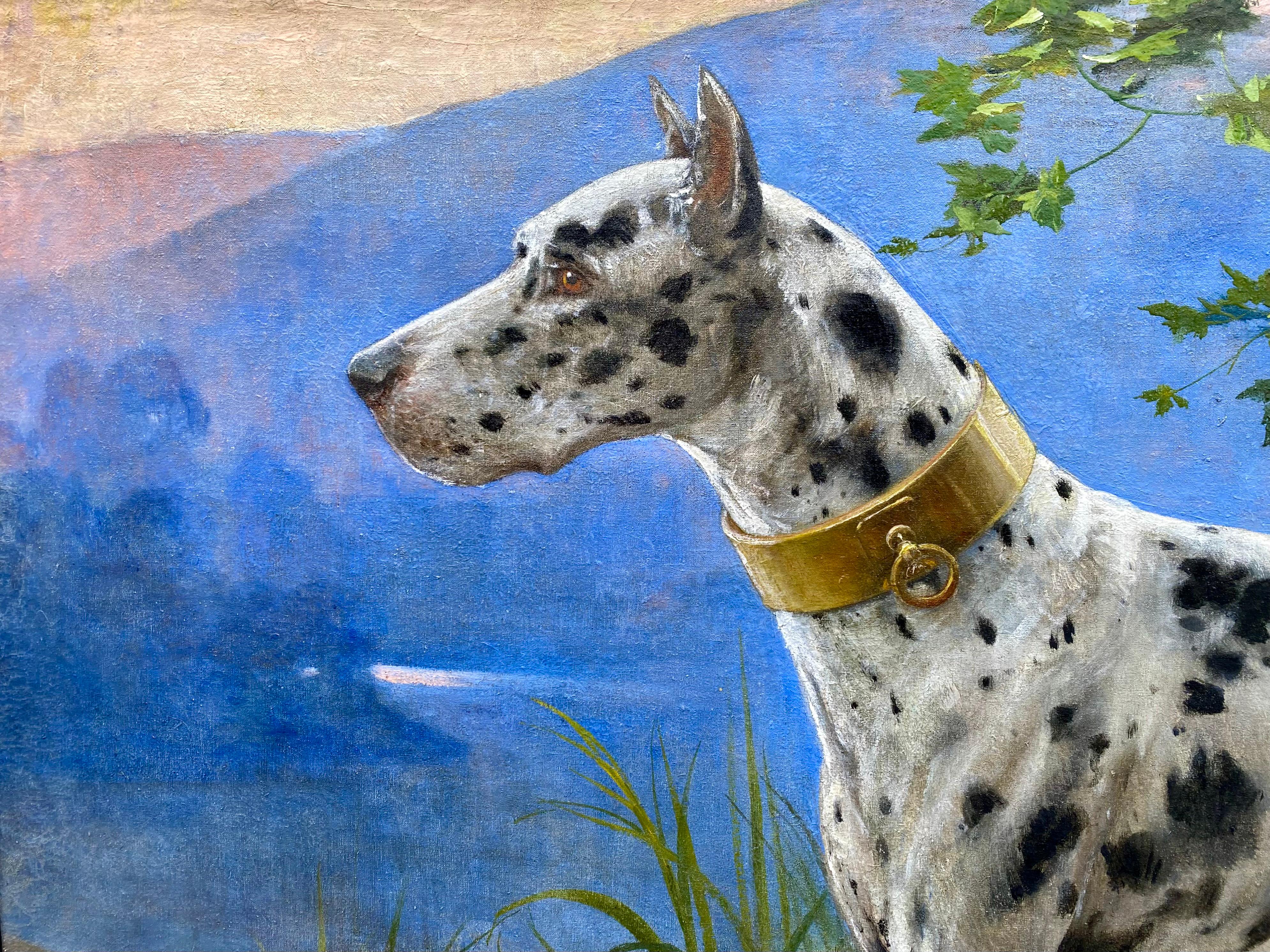Portrait d'un Great Dane - Arlequin' par Octave Van Cuyck ( 1870 - 1956 ) en vente 8