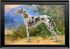 Portrait d'un Great Dane - Arlequin' par Octave Van Cuyck ( 1870 - 1956 )