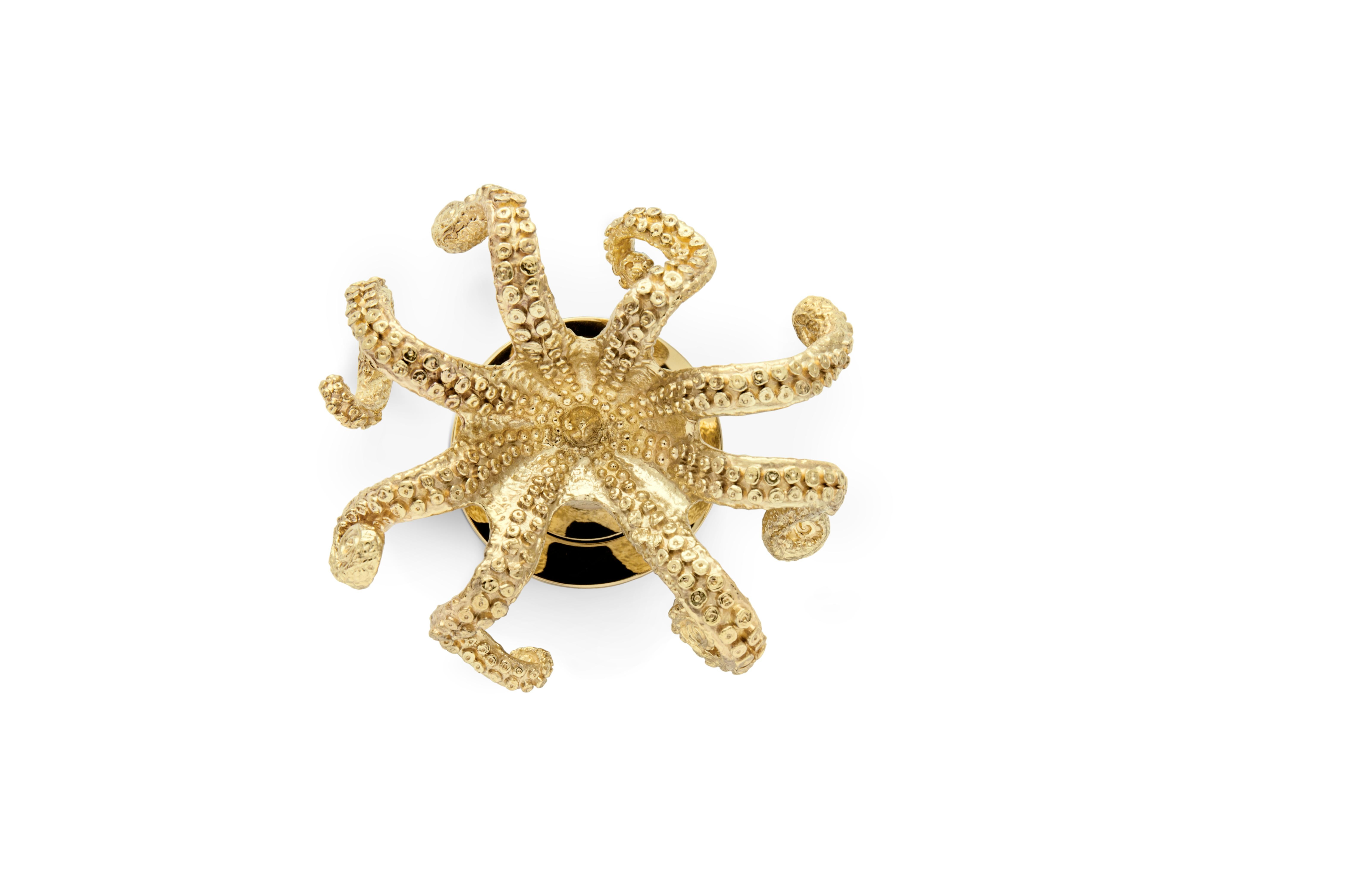 Along the ocean floor, round forms with eight long arms floats. We have extended octopus features in our Octo Door Knob, an understated elegance bringing an instant character to your door designs, through luxury Door Hardware. Octopus’s selection is