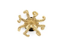 Octo Door Knob - Handcrafted Polished Brass - PullCast