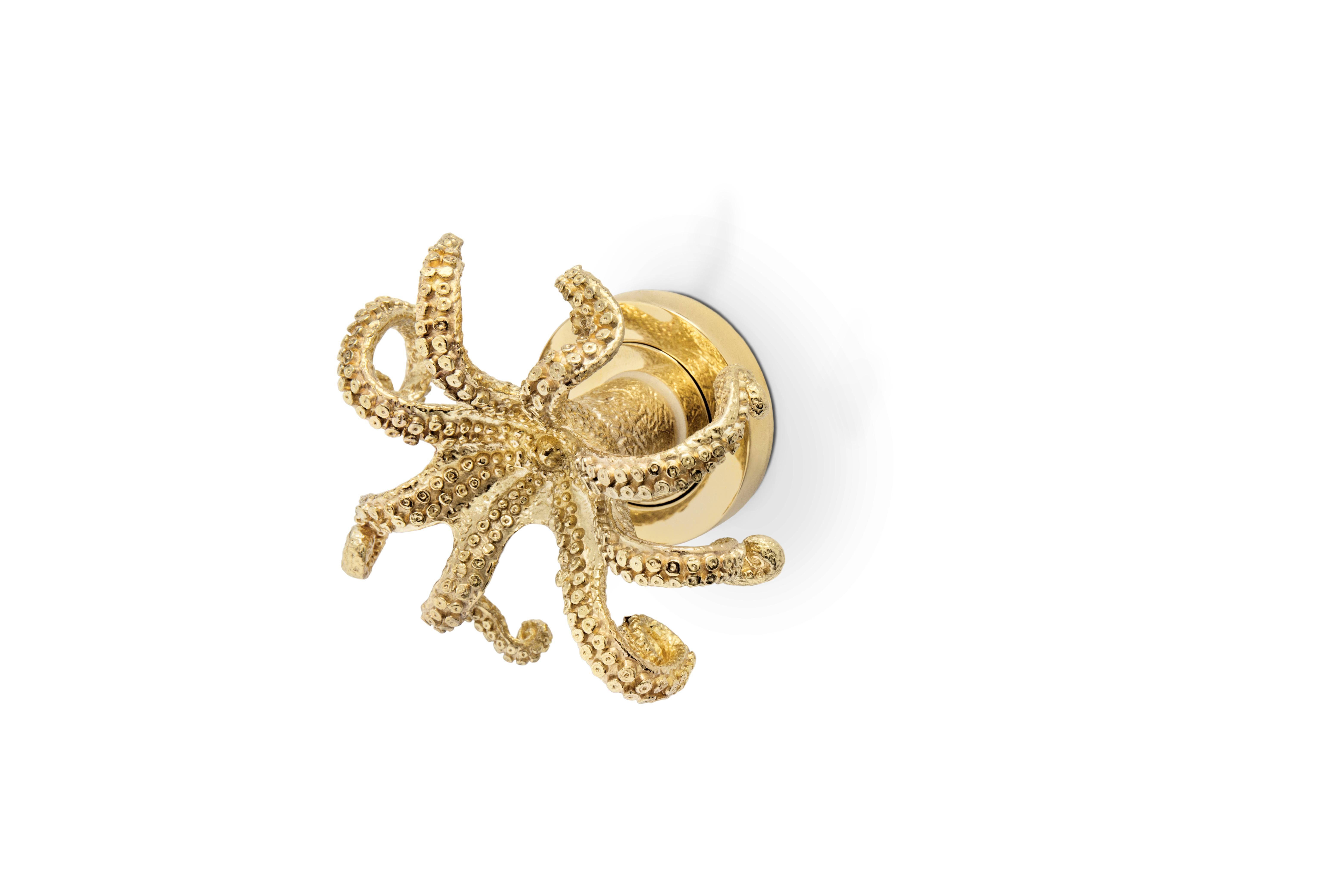 Brushed Octo Door Knob For Sale
