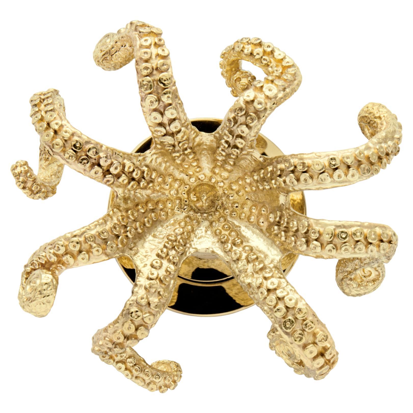 Bouton de porte Octo