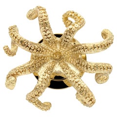 Bouton de porte Octo