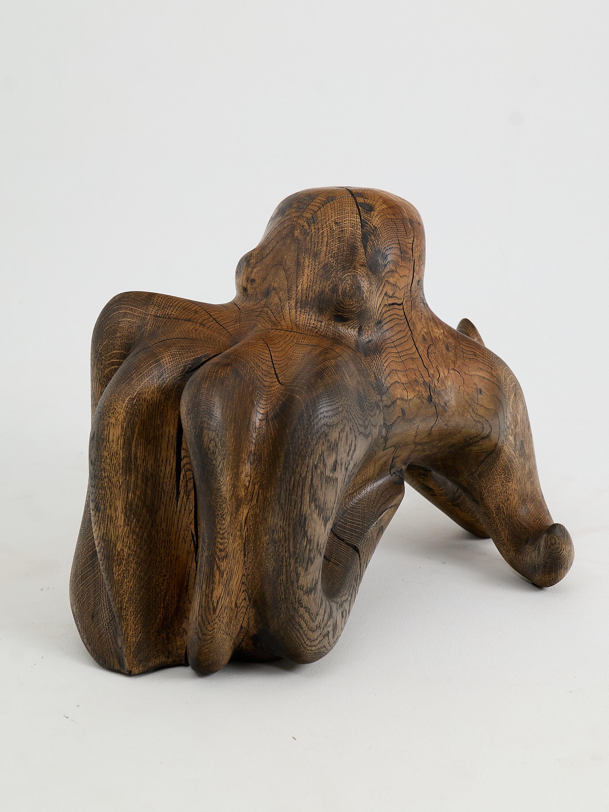 Croatian Octopus, Chainsaw Carved Decoration, Oak, Logniture