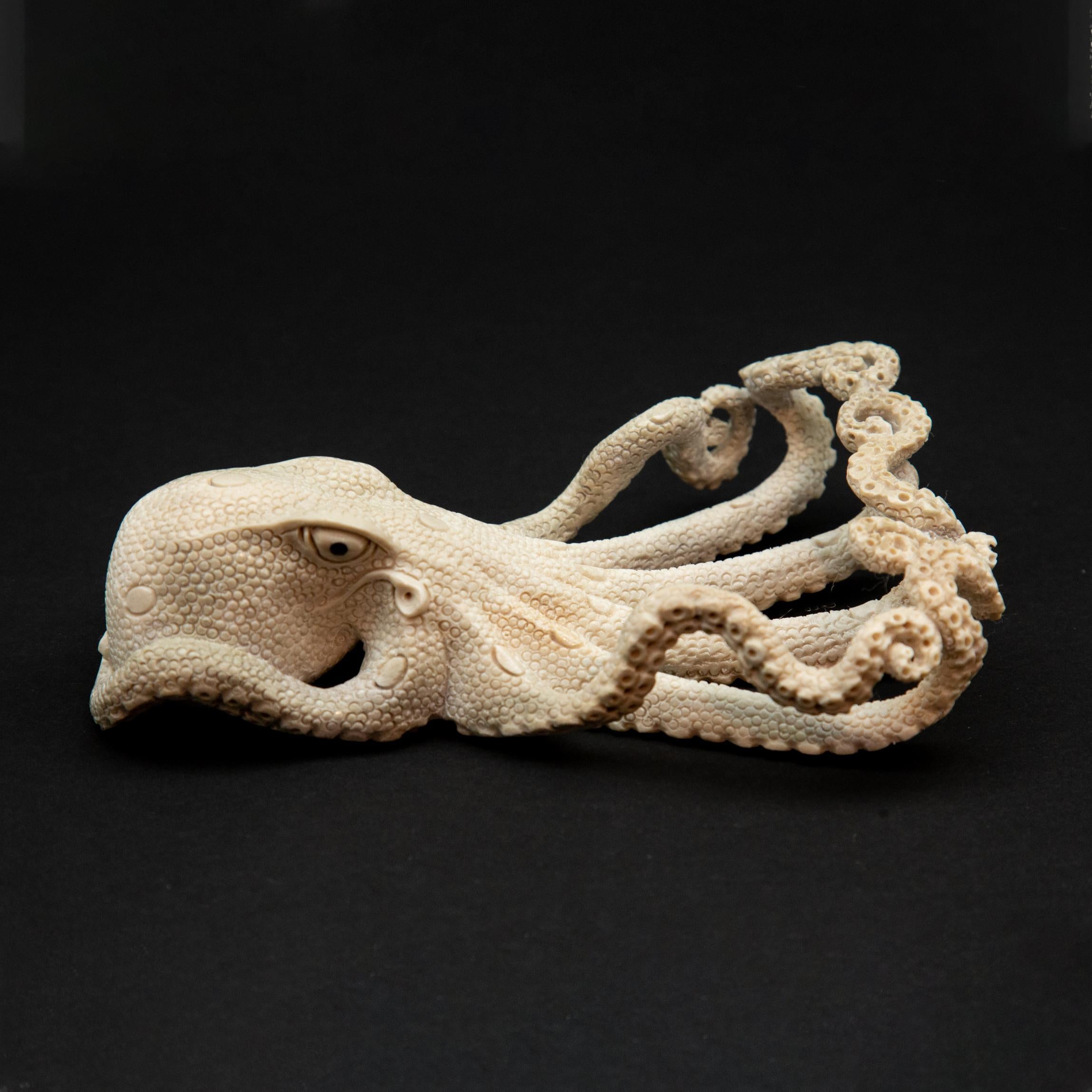 Octopus moose antler carving. Detailed moose antler carving of an octopus, from Indonesia. This is a one of a kind object. The moose antler was sourced in North America and then sent to Asia for carving. Quality of ivory, but with sustainability, as