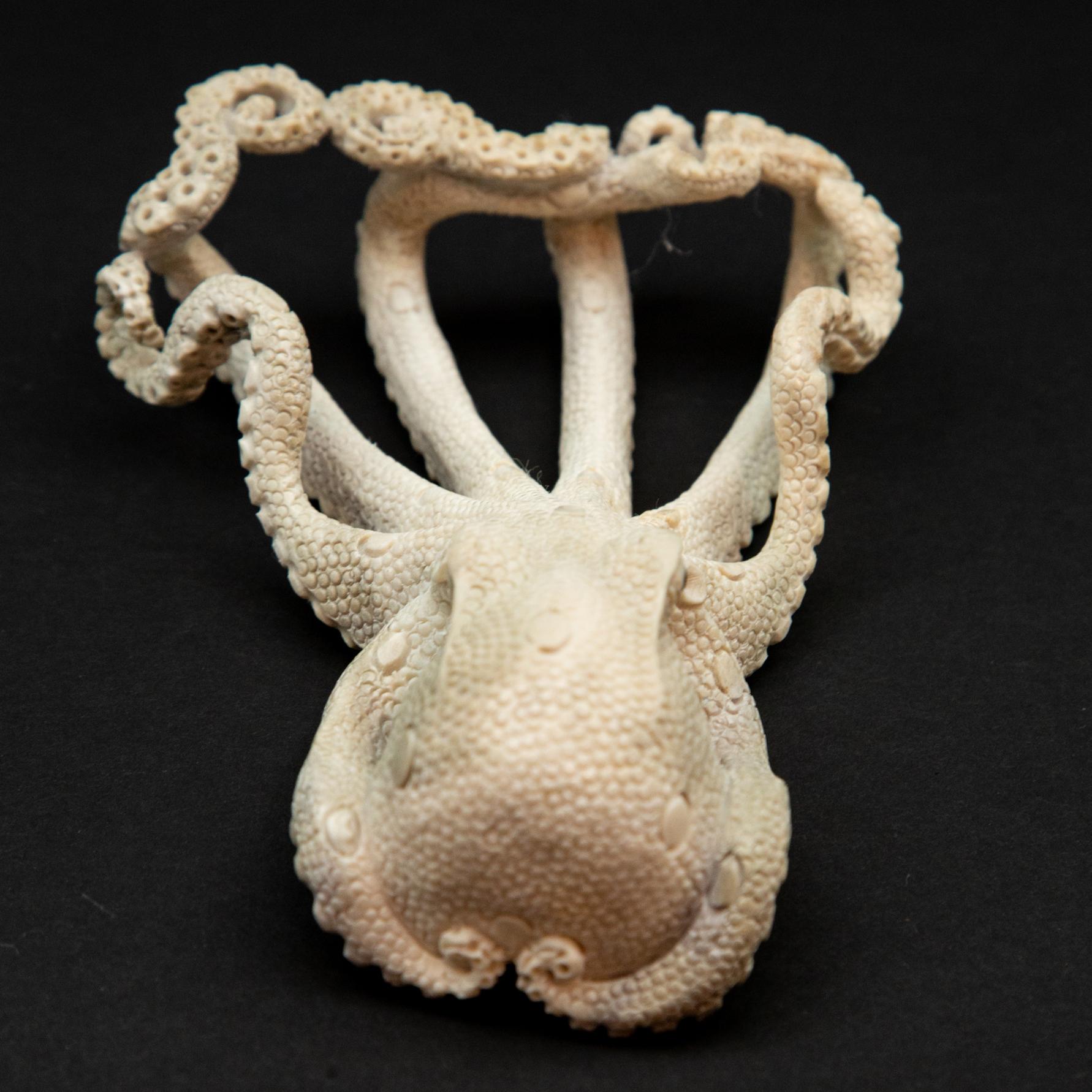 octopus carving