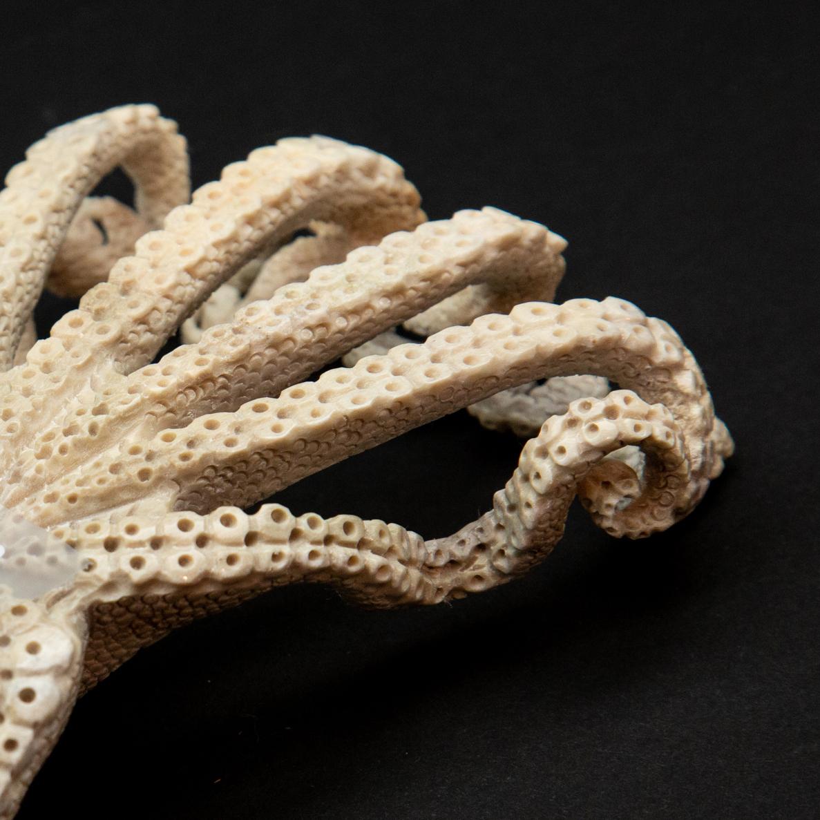 Indonesian Octopus Moose Antler Carving