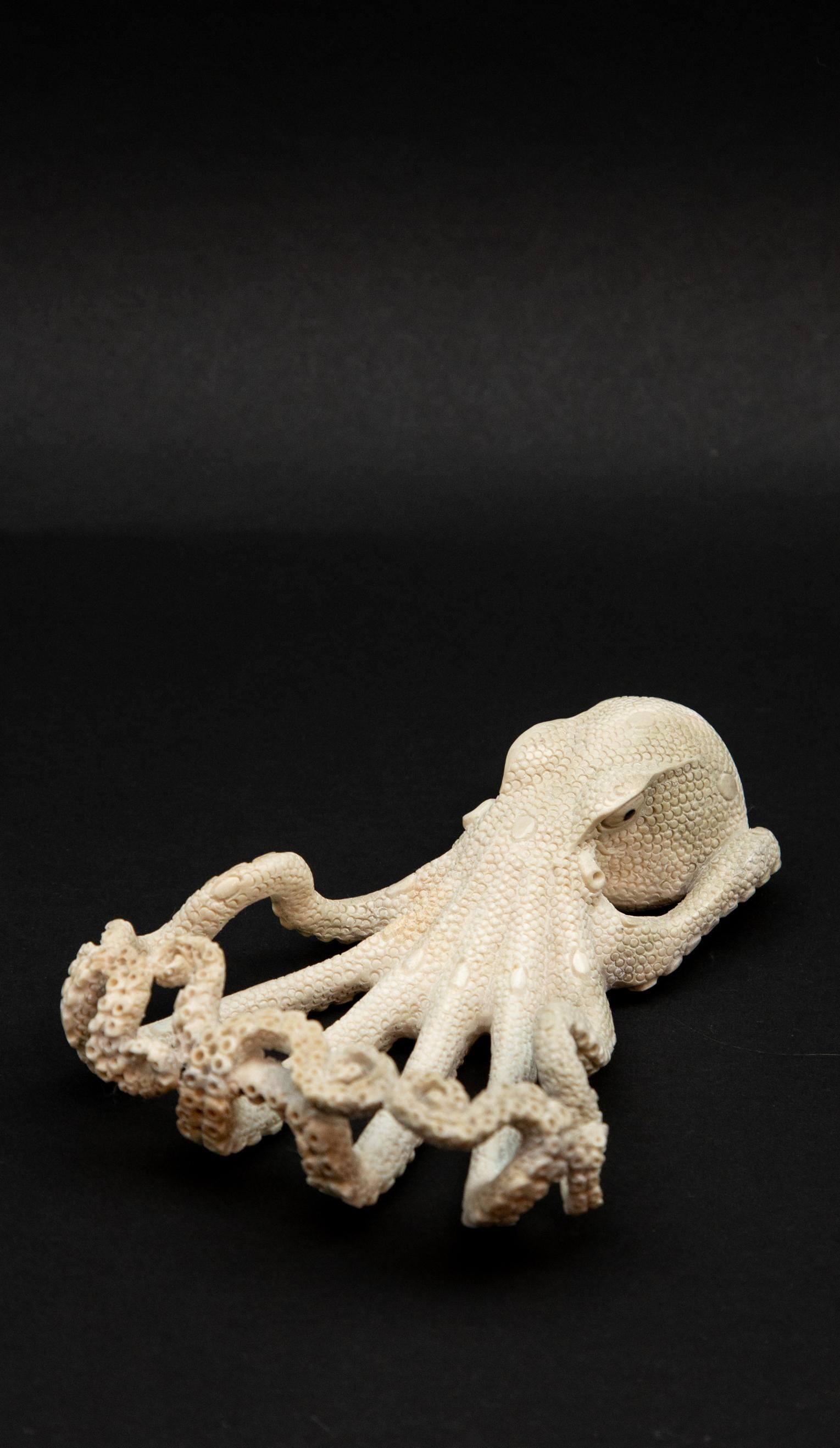 Carved Octopus Moose Antler Carving