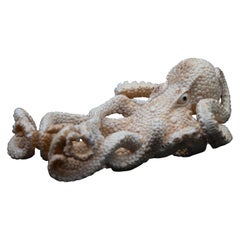 Octopus Moose Antler Carving