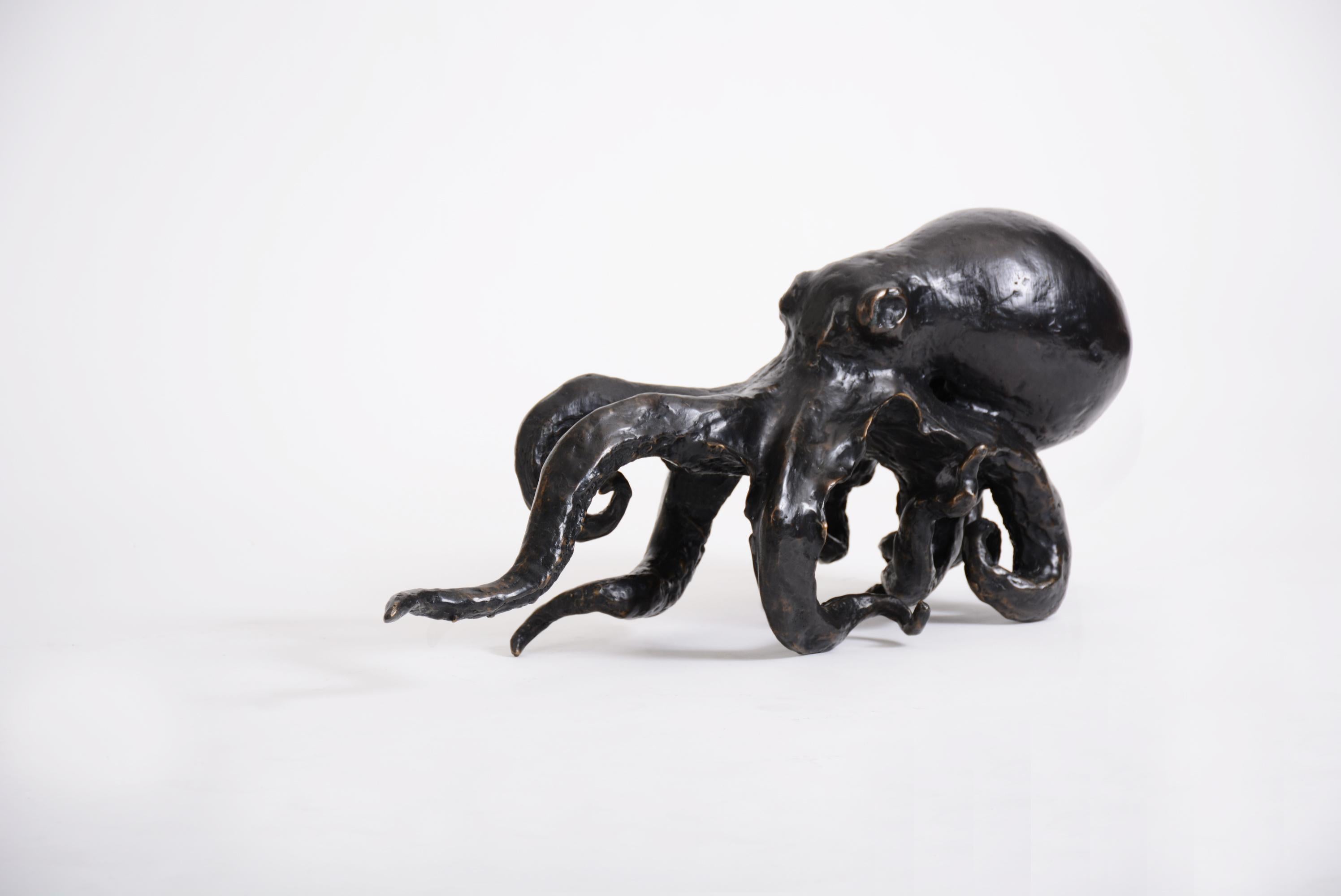 En stock en la sala de exposiciones de Elan Atelier en Nueva York (listo para recoger).

Escultura de pulpo en bronce fundido con acabado en bronce oscuro. Naturaleza acuática salvaje, desatada en interiores. Este pulpo es enérgico, en movimiento y
