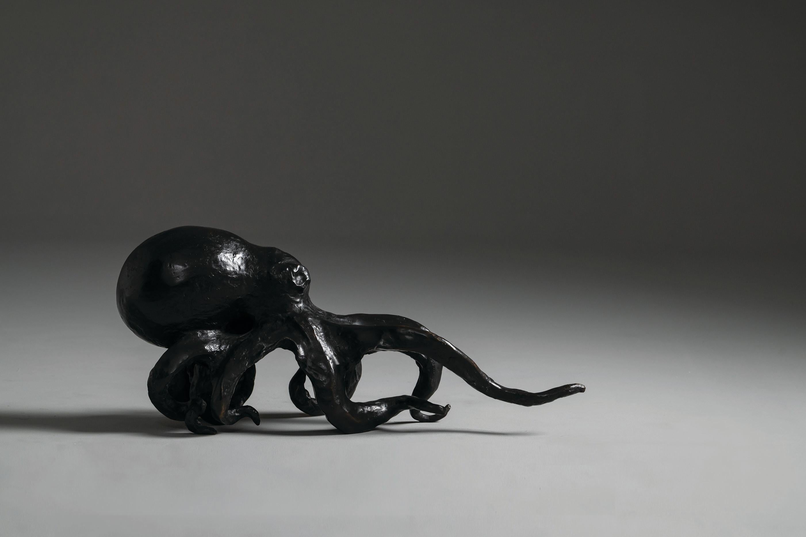 Sculpture de pieuvre en bronze coulé réalisée sur commande par Elan Atelier.

La nature aquatique sauvage, déchaînée à l'intérieur. Cette pieuvre est énergique, en mouvement et mystérieuse.

Dimensions/
l 25.6 x p 7.9 x h 11 in
l 65 x p 20 x h 28
