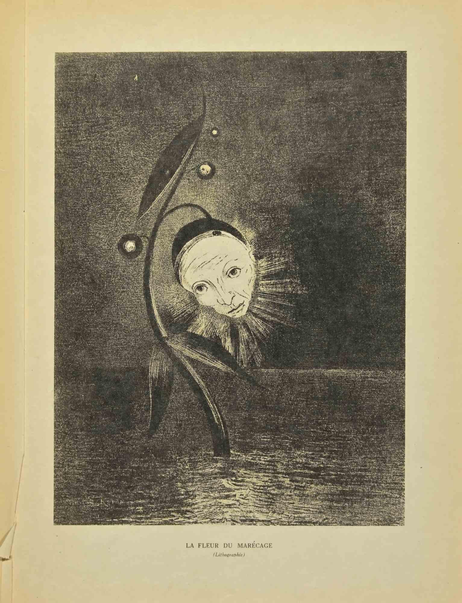 Le Fleur Du Marécage est une reproduction phototypique réalisée d'après Odilon Redon. 

Elles appartiennent à la suite "Odilon Redon Peintre, Dessinateur et Graveur", publiée par Henri Felury en 1923.

Titre sur la partie inférieure.

Bonnes