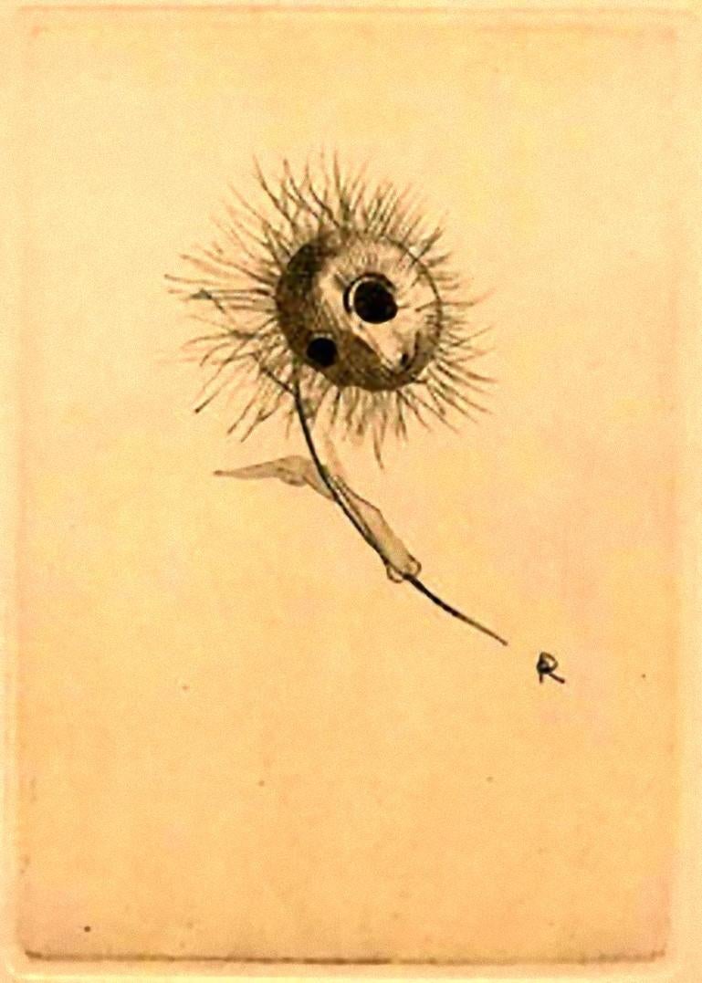 Les Fleurs du Mal - Rare Book Illustrated after Odilon Redon - 1923 3