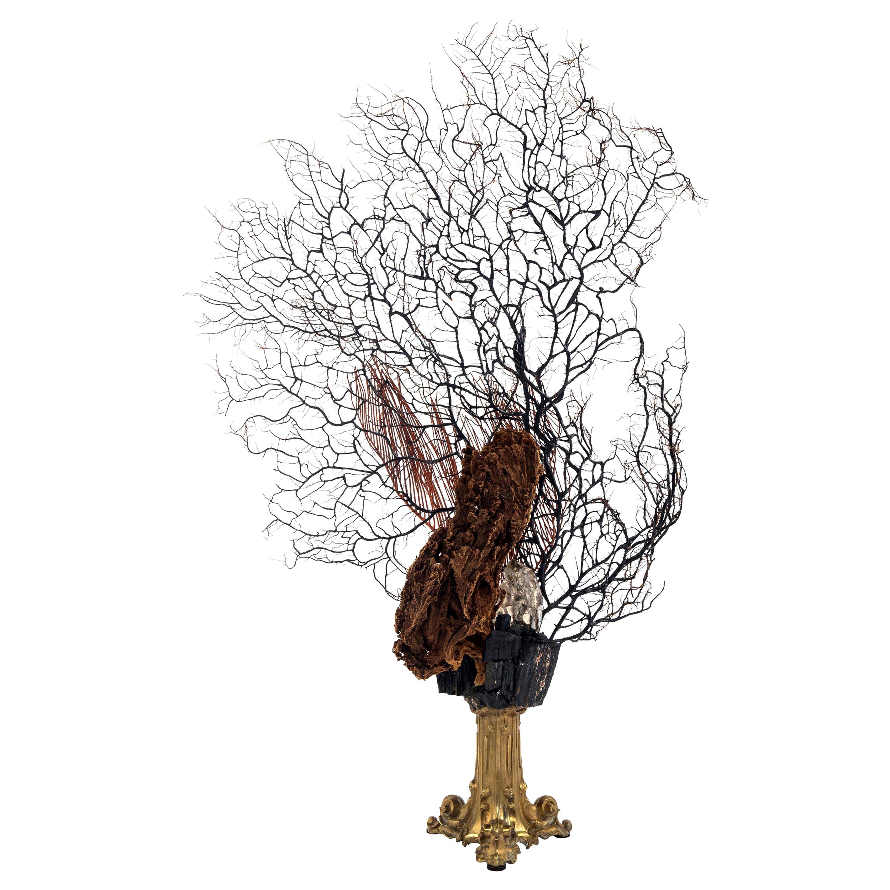 Odyssee de la Mer. A large 19th century French cast bronze fragment with a mounding growth of over 5000-carat natural citrine and black tourmaline that surround a giant black sea fan, whip and rare sponge. Measures: Overall height is 47 inches.

  