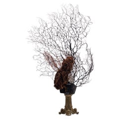 Odyssée De La Mer Coral Quartz Sea Fan Bronze Sculpture