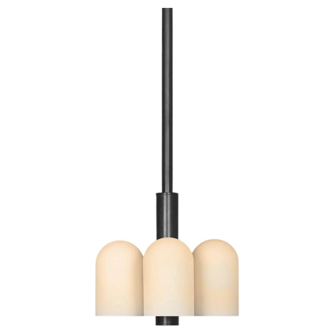Odyssey 6 Black Pendant Light by Schwung
