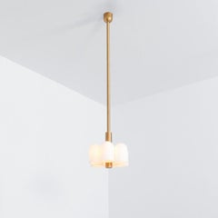 Odyssey 6 Brass Pendant Light by Schwung