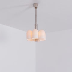 Odyssey 6 Polished Nickel Pendant Light by Schwung