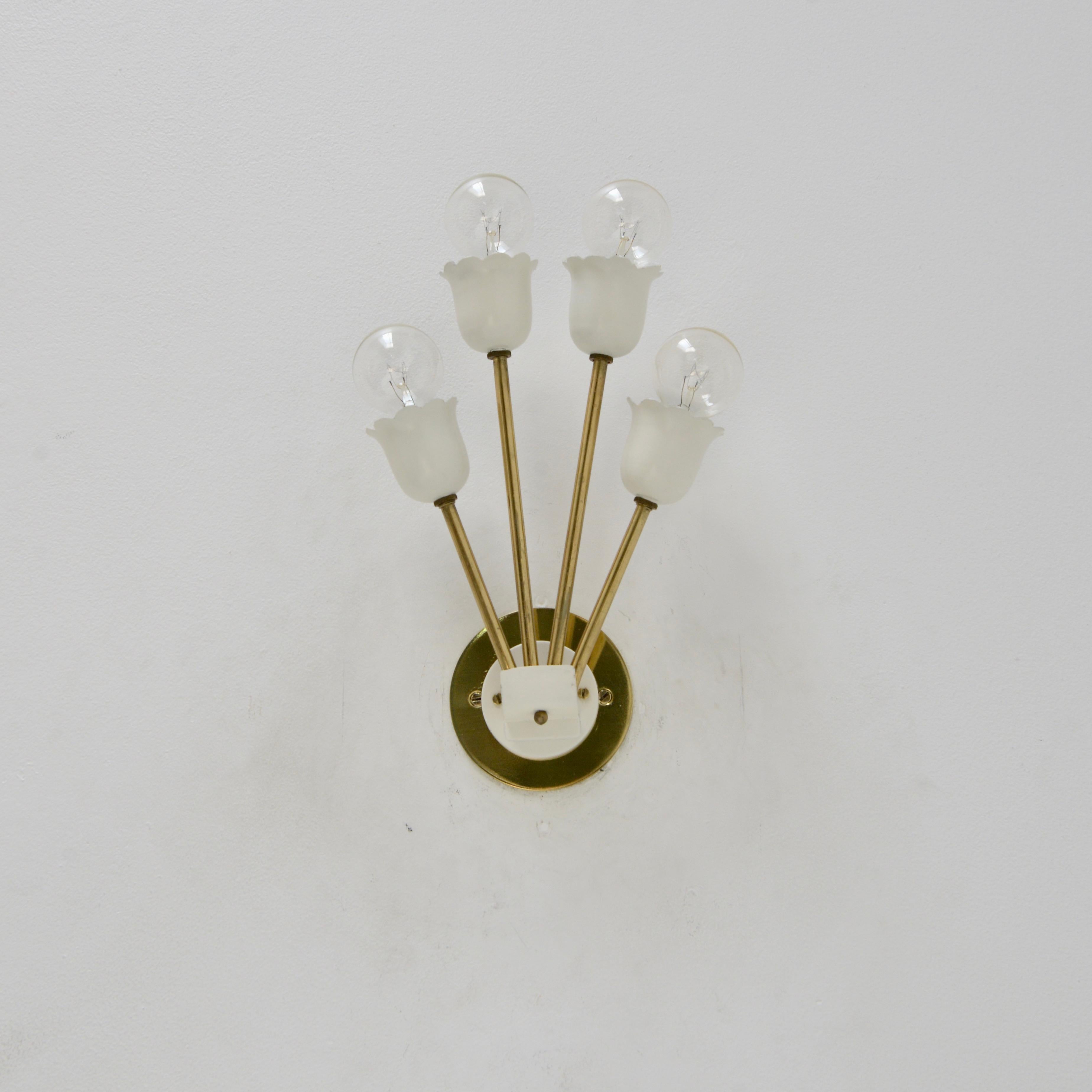Pair of beautiful brass and off- white botanical sconces from 1950s Italy. Made in all brass patinated and painted aluminum. 4 E12 candelabra based sockets per sconces. Wired for use in the USA. They can also be wired for use anywhere in the world.