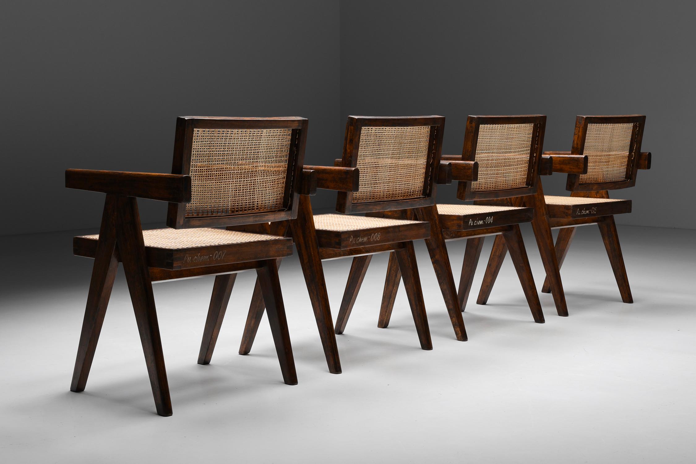 Mid-Century Modern Office Cane Chairs by Pierre Jeanneret, PJ-SI-28-A, Rosewood, Chandigarh, 1955