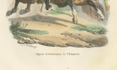 Officer d’Ordonnance de l’Empereur, French Imperial Guard Cavalry Print, 1843
