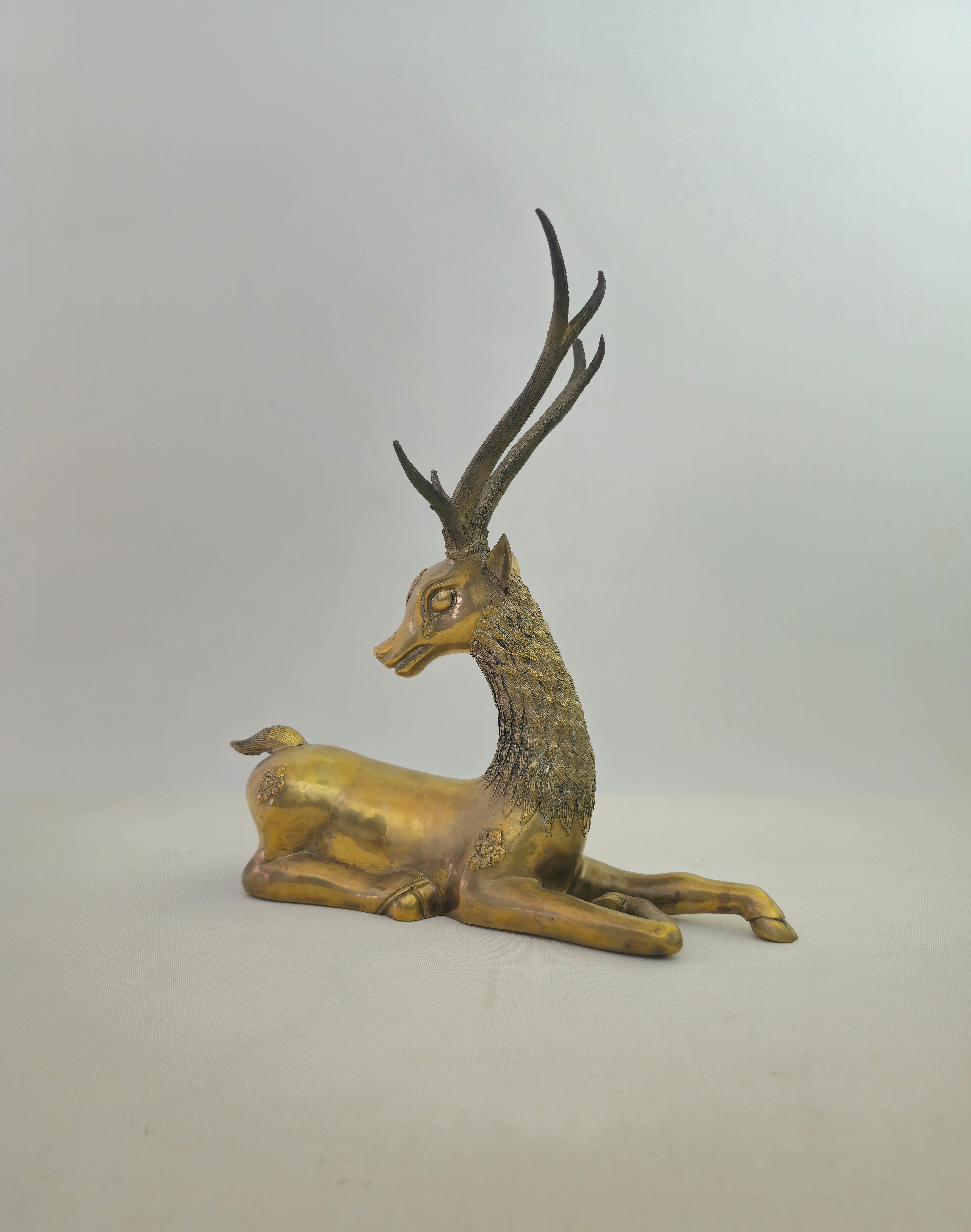 Reclining Deer of considerable size in solid brass with engravings. Hollywood Regency, Italy 1960s. Please watch the video and photos carefully, thank you.

Weight: 3,360 Kg

NOTE: We offer our customers an excellent and professional service in