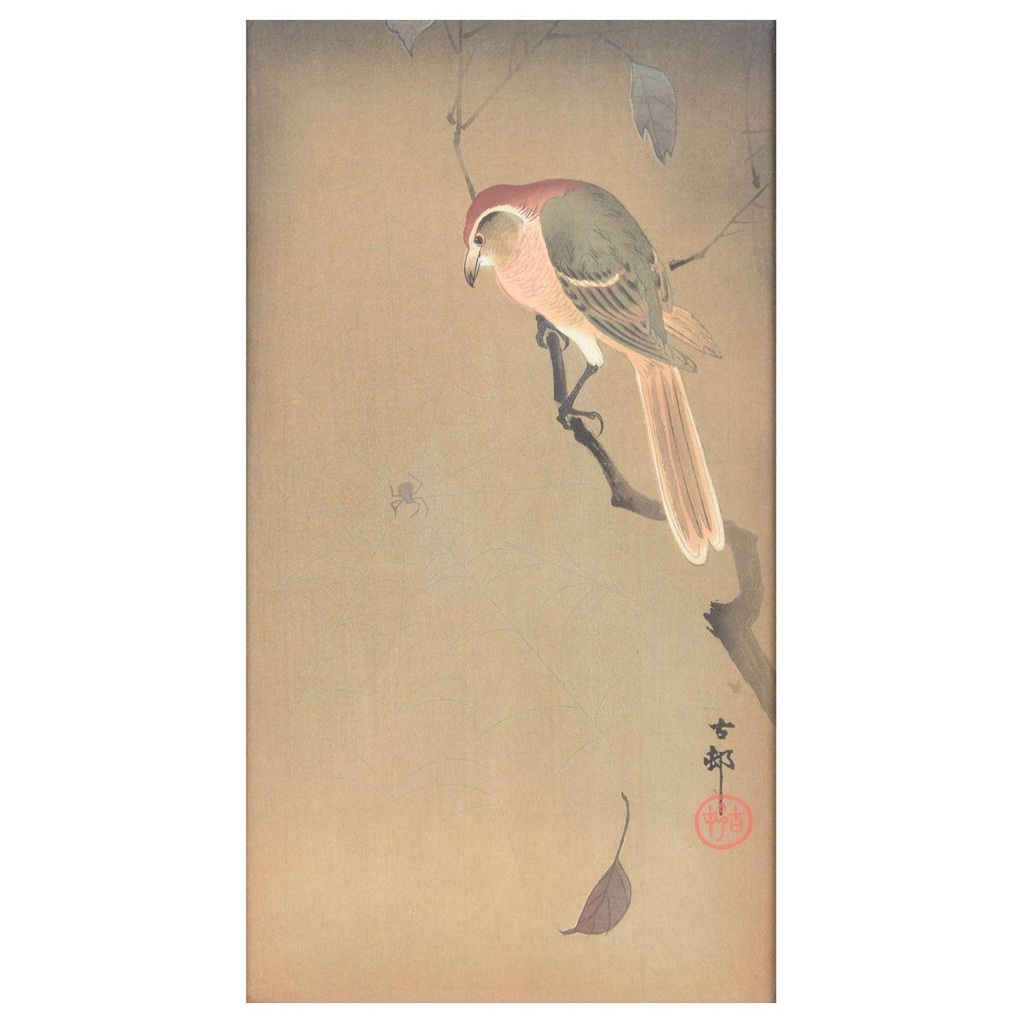 Ohara Koson, Japan artist. The Bird and the Spider. Gouache and ink on silk For Sale