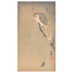 Ohara Koson, Japan artist. The Bird and the Spider. Gouache and ink on silk
