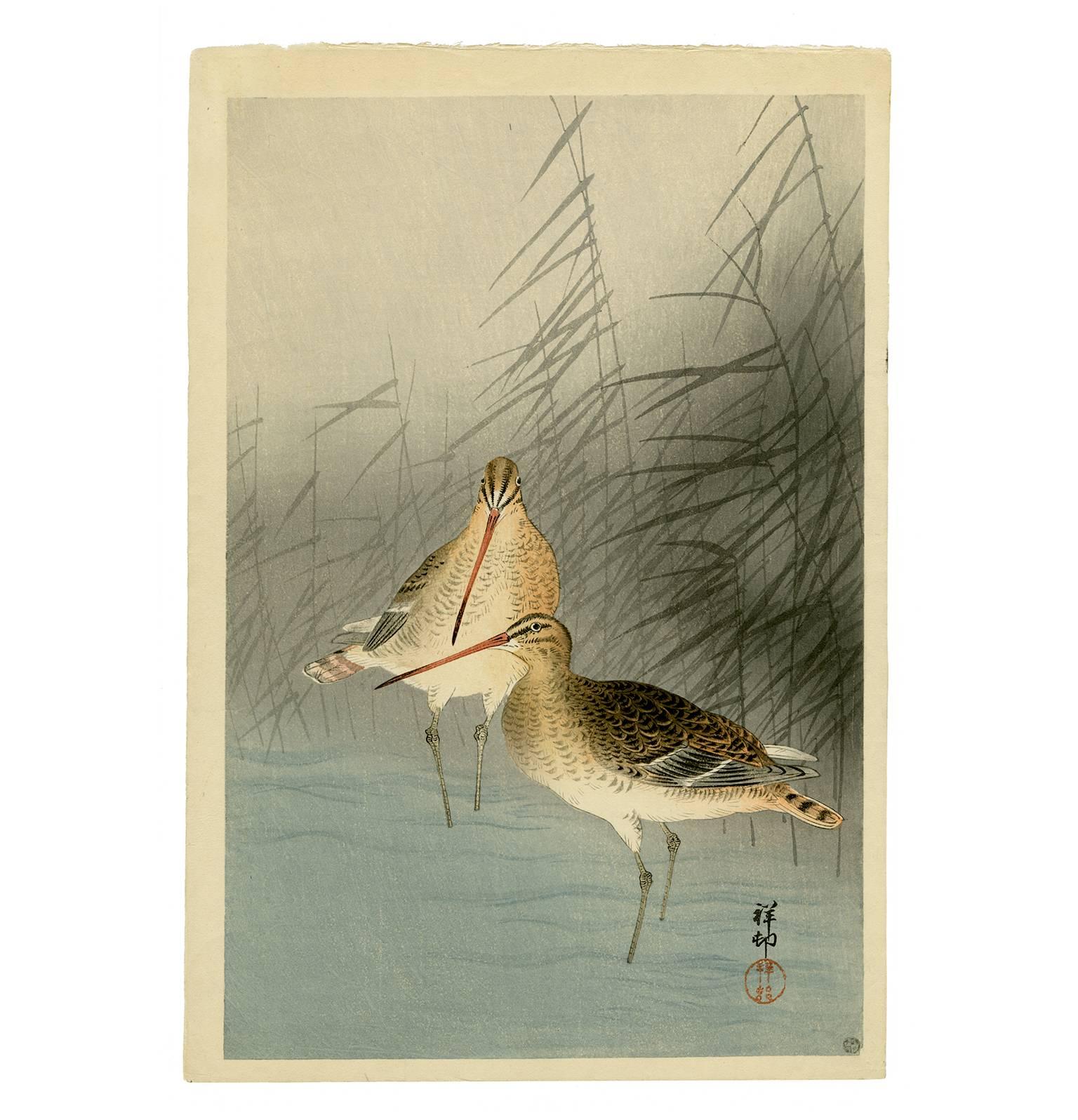 Ohara Koson Landscape Print - Bar-tailed Godwits and Reeds