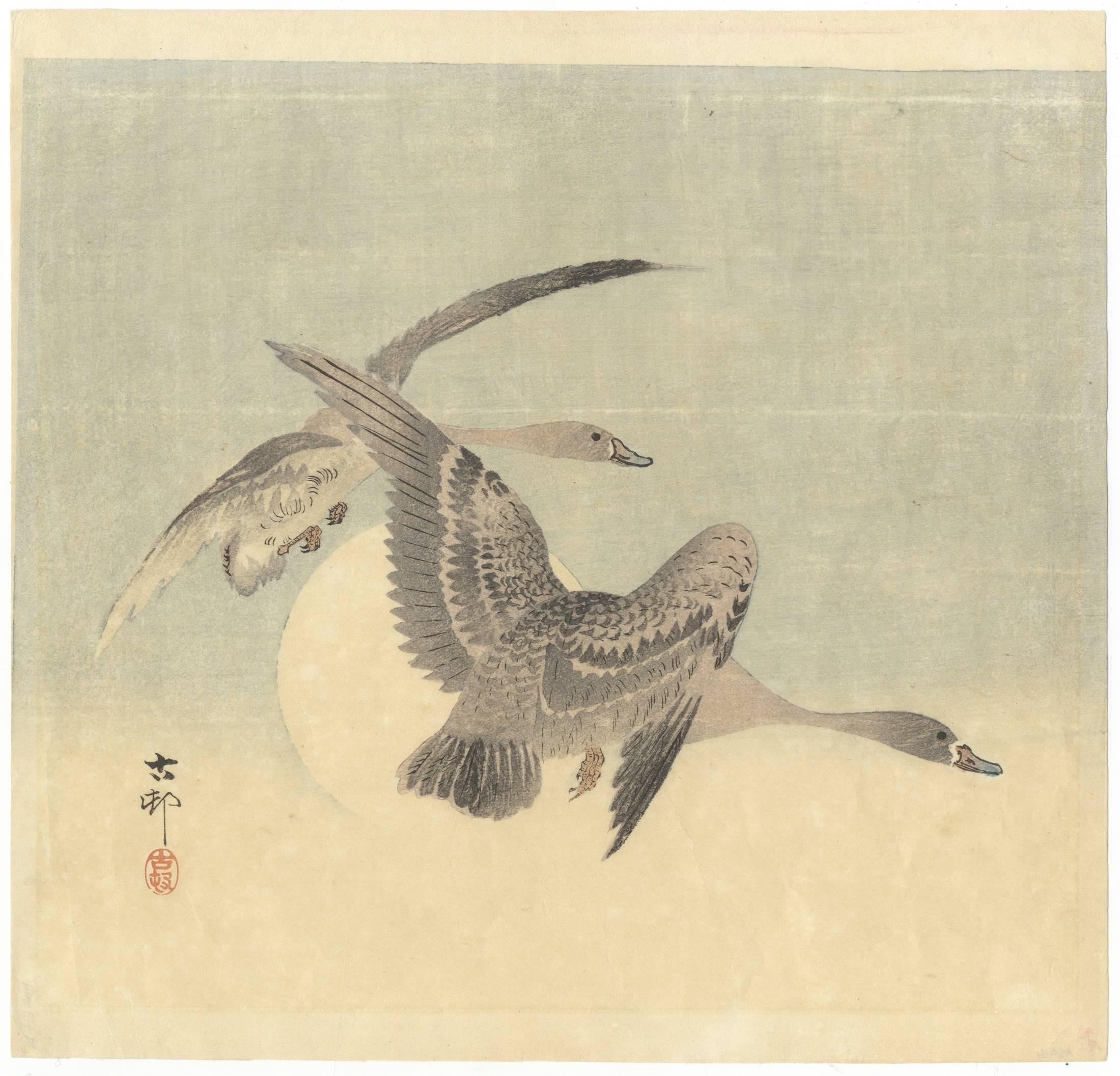 ohara koson birds