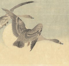 Bird & Flower, Ohara Koson, Moon, Shin Hanga, Japanese Woodblock Print, Geese